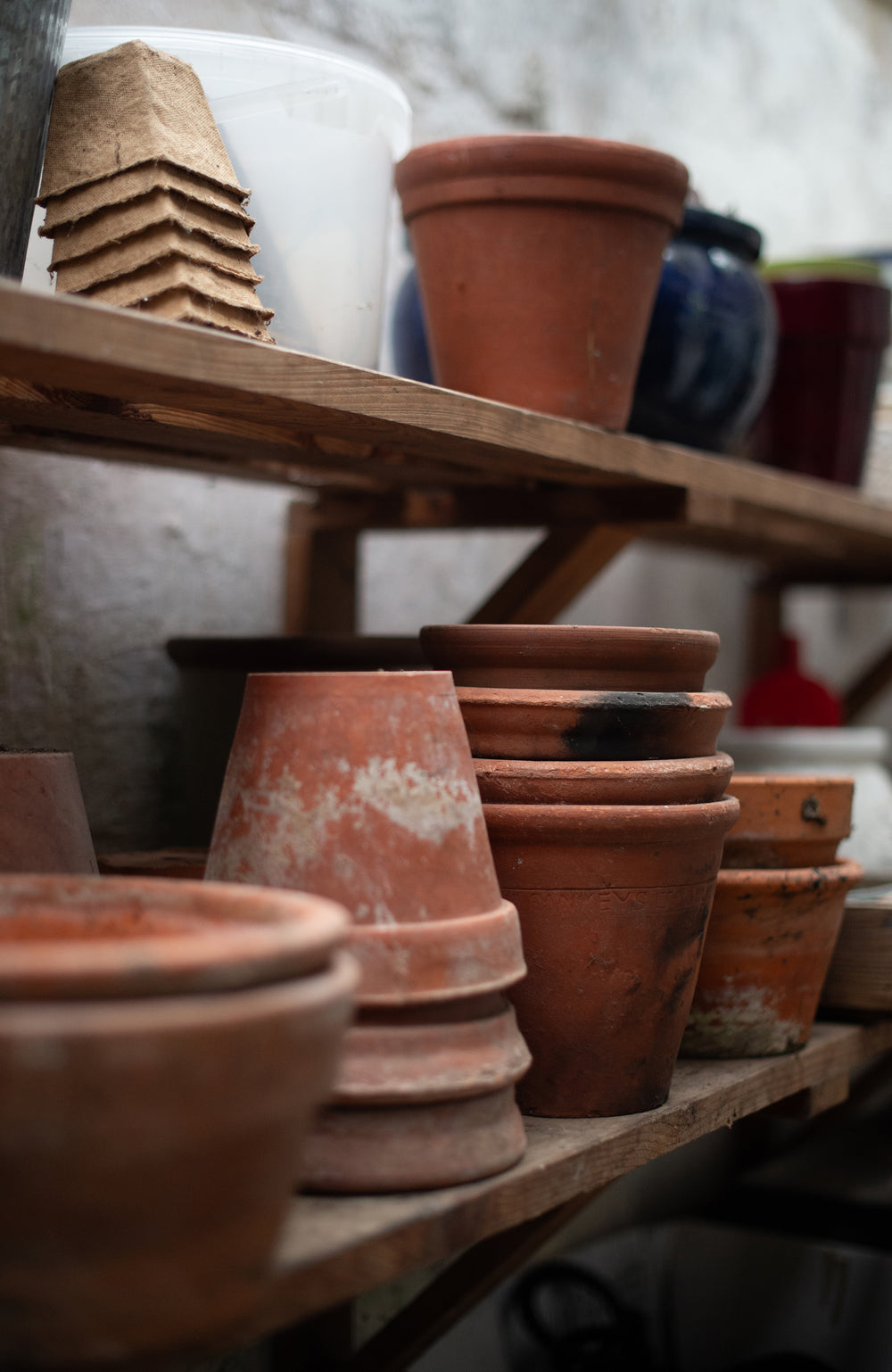 Stacks of terracotta flower pots and biodegradable paper pots arranged on rustic wooden shelves by Paul James Knitwear