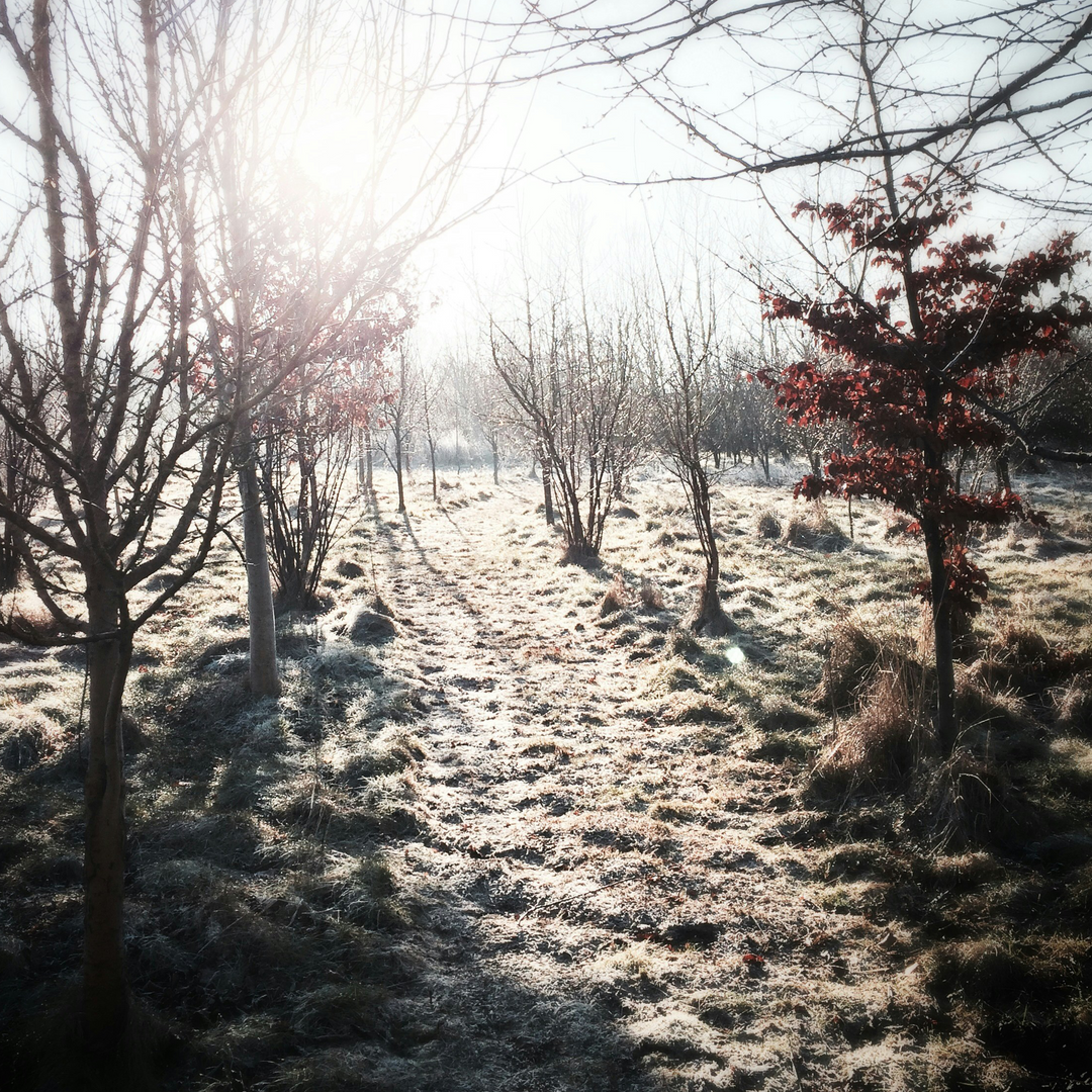 Why You Should Workout Outdoors In Winter
