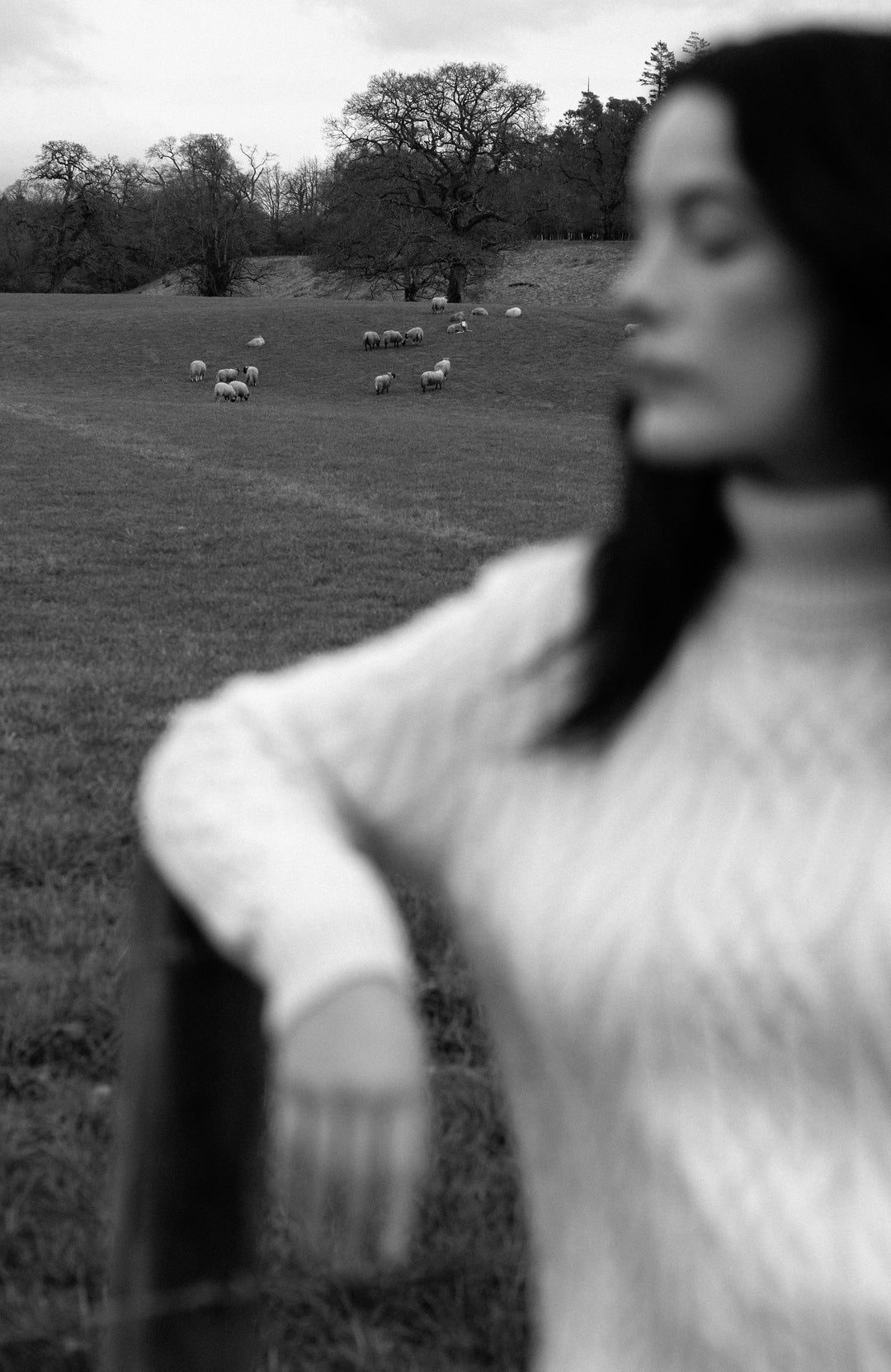 Women's Polo Neck Jumpers