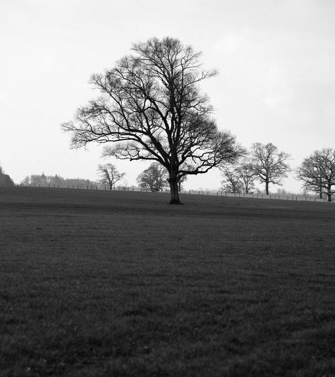 At home in nature