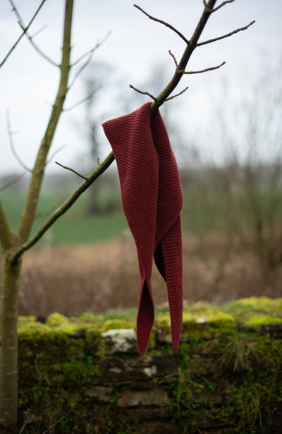 Red scarf hanging on a tree branch with a blurred natural background by Paul James Knitwear 