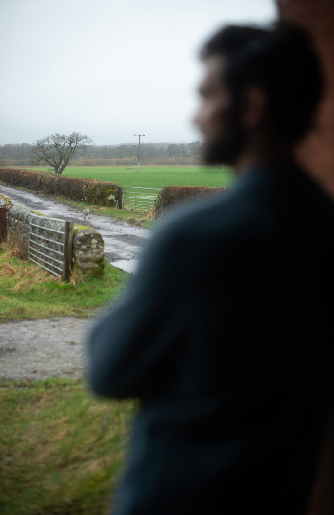 A blurred outdoor scene showing a person in the foreground with a rural landscape in the background, including a dirt path, hedge, gate, and green field under an overcast sky by paul james knitwear
