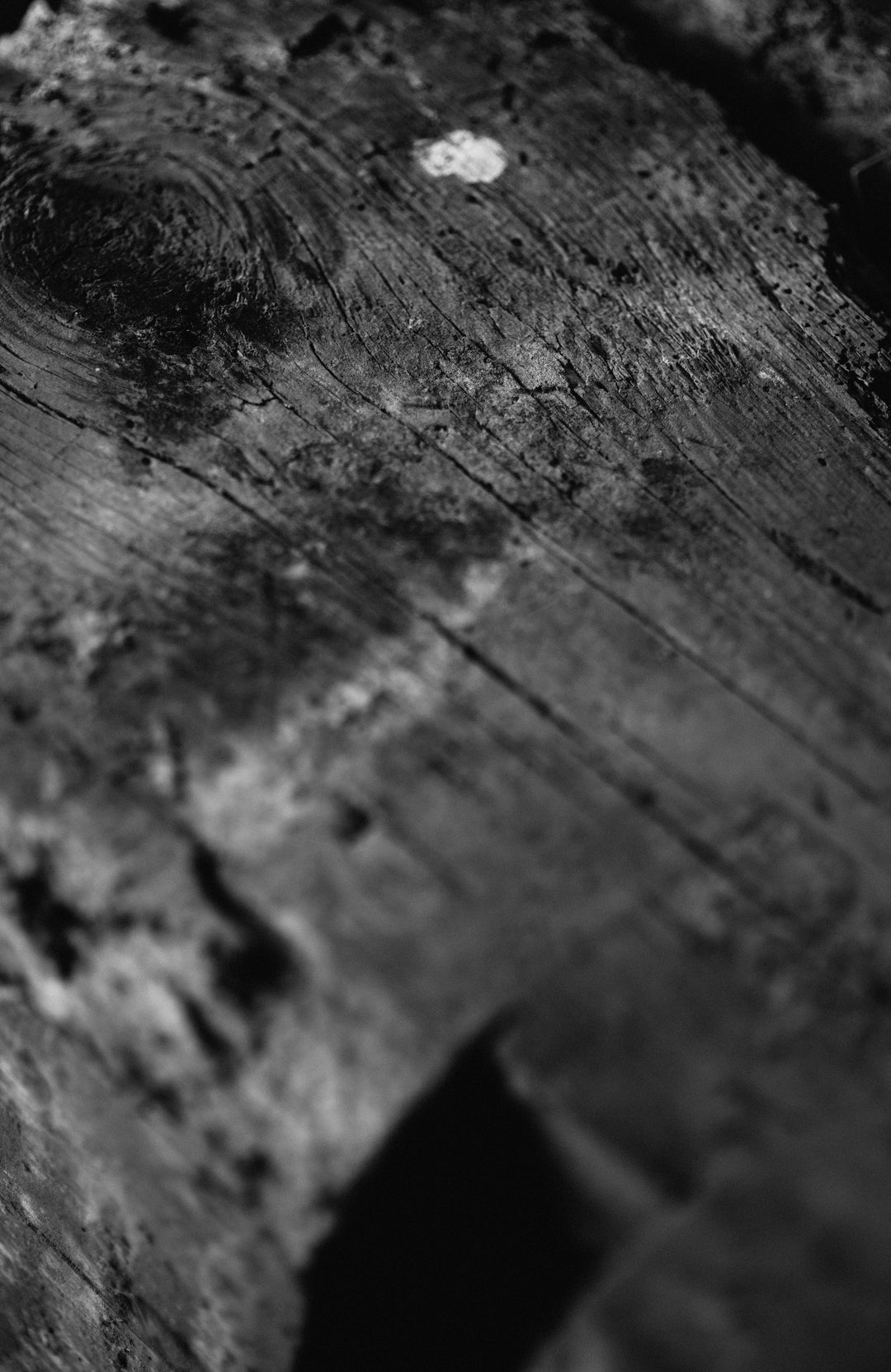 Black and white close-up of weathered wood grain with rough texture and dark crevices.