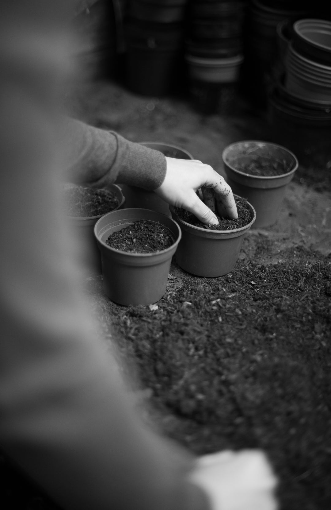 A black and white photograph showing a person's gloved hand placing soil into small plastic pots on a garden bed by Paul James Knitwear