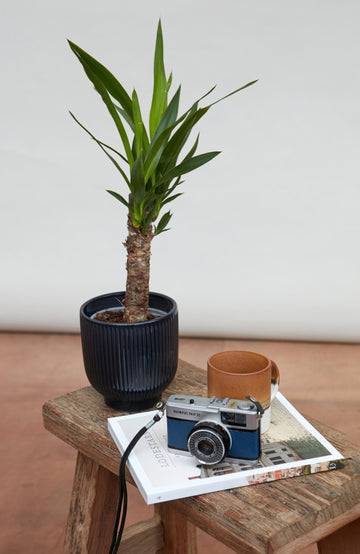 camera on stool with book paul james