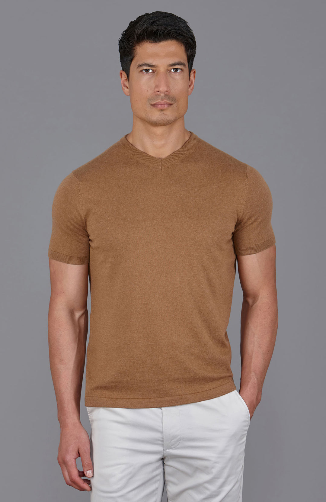 camel mens v neck knitted t shirt