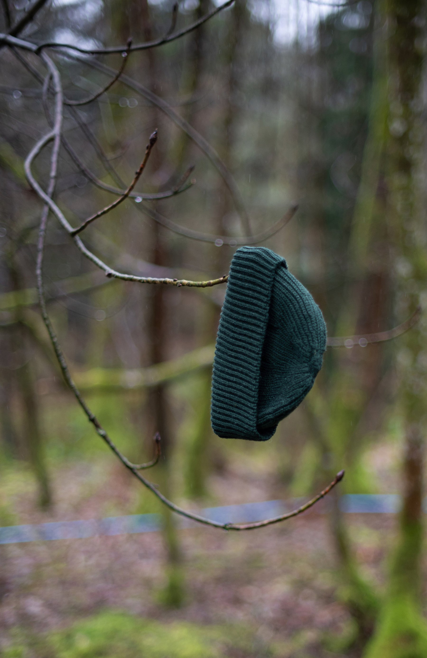 Green knitted fisherman beanie wool hat on a branch in a forest setting