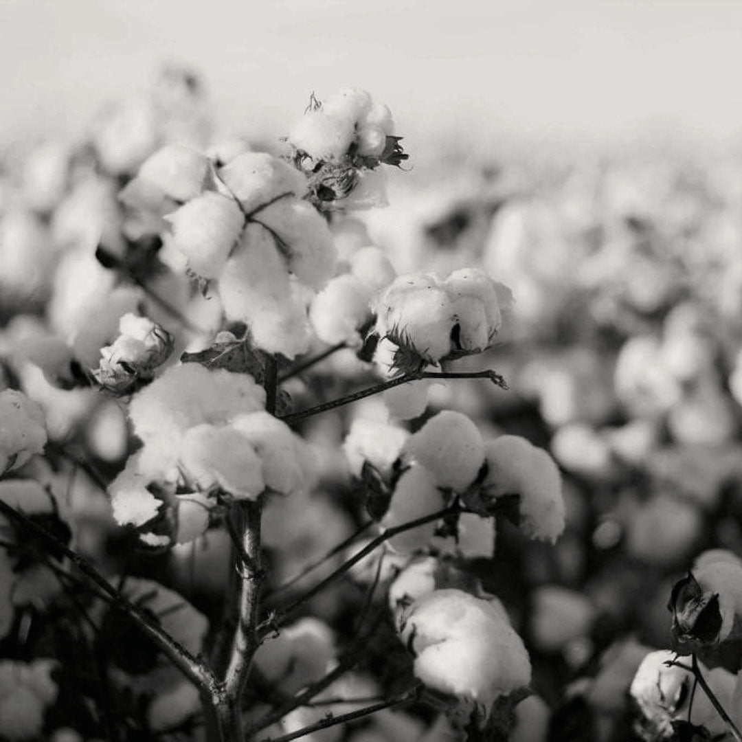 about paul james knitwear