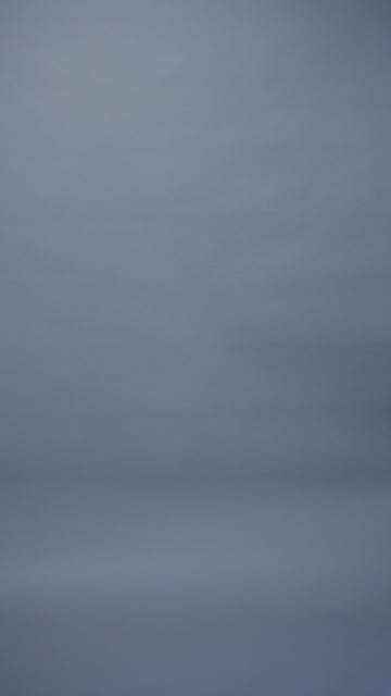 navy mens wool shooting jumper by Paul James